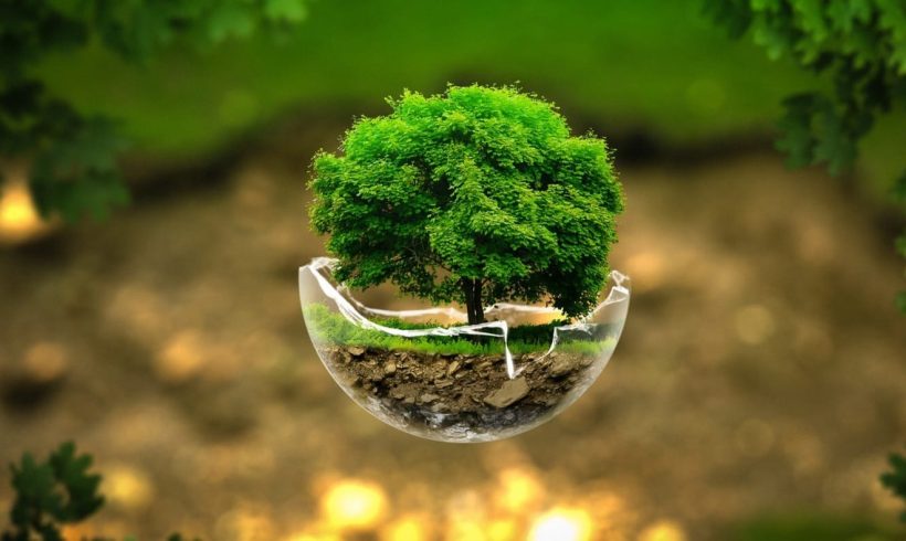 EL AMBIENTALISMO SECUESTRADO